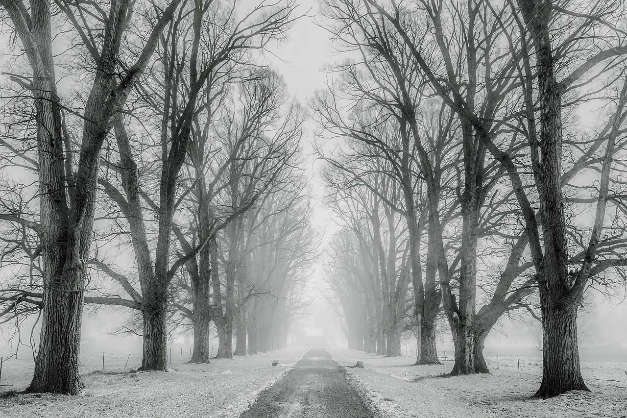 Campagne, l'hiver