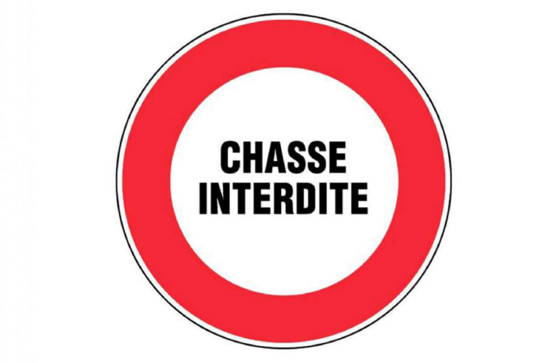 Lire la suite à propos de l’article Récit-fiction : Et si la chasse était interdite… [Fr]