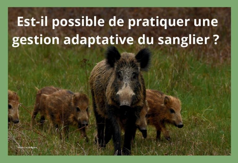 Lire la suite à propos de l’article Une Conférence intéressante ce 23 avril 2025