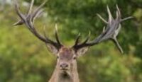 Formation Garde-Chasse